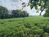 4699 Hwy 62 W Highway - Photo 16
