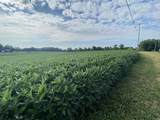4699 Hwy 62 W Highway - Photo 8