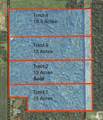 Tract 4 State Line Rd Road - Photo 1