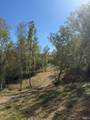 Tract 12 State Road 156 Road - Photo 15