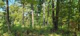 Lot 1 County Rd 200 S - Photo 7