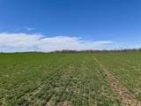 1 Off Us 231 And Mt. Calvary Road - Photo 10