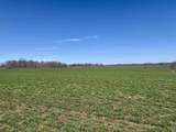 1 Off Us 231 And Mt. Calvary Road - Photo 11