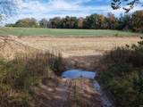 96.6 AC Reinhart Road - Photo 4