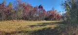 TBD Snow Road - Photo 15