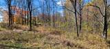 TBD Snow Road - Photo 20