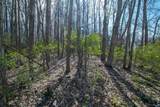 2620 Emerson Forest Parkway - Photo 1