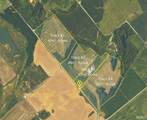 42+/- Acres Wampler Road - Photo 11