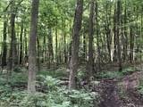 9567 N River Road Road - Photo 4