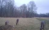 9010 Texas Ridge Road - Photo 21