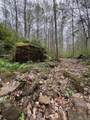 Tract 5 E Pine Road Common - Photo 5
