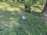 6655 Gross Road - Photo 12