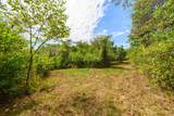 Tract 13 State Road 156 Road - Photo 7