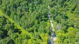 5600 Block Dry Branch Road - Photo 6