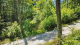 5600 Block Dry Branch Road - Photo 9