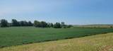 128.9+/- Acres Wampler Road - Photo 10