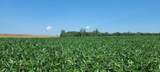 128.9+/- Acres Wampler Road - Photo 11