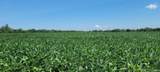 128.9+/- Acres Wampler Road - Photo 12