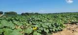 128.9+/- Acres Wampler Road - Photo 13