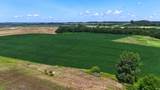 128.9+/- Acres Wampler Road - Photo 7