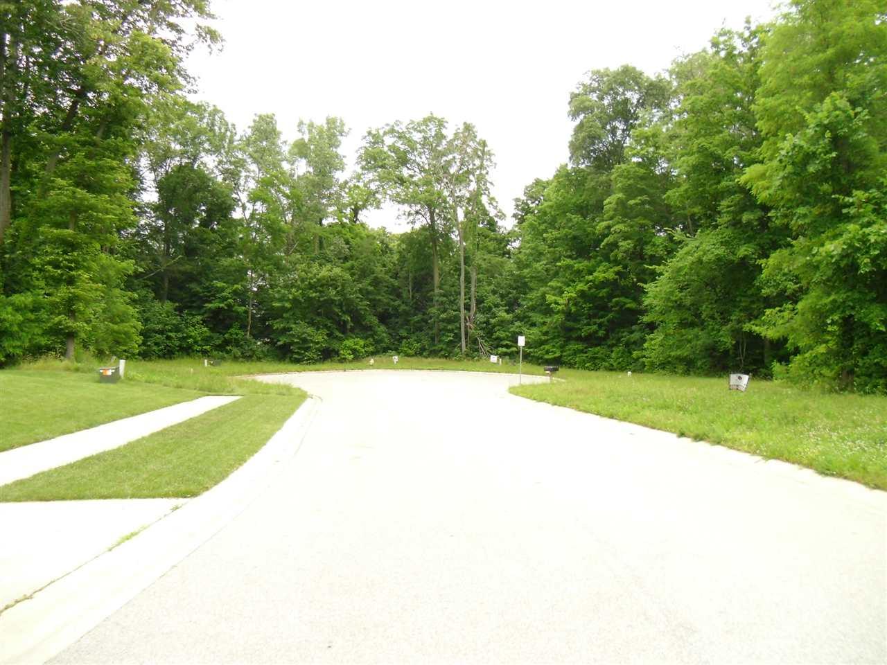 423 Mcintosh Ave. - Photo 1