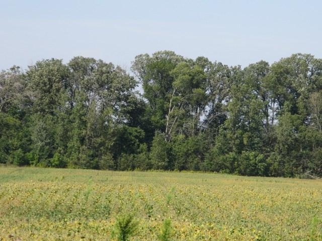 000 State Road 8 - Photo 1