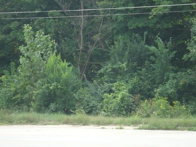 0000 Memorial - Photo 1