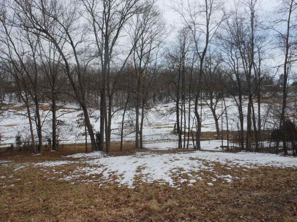 1020 Balthazar Dr - Photo 1