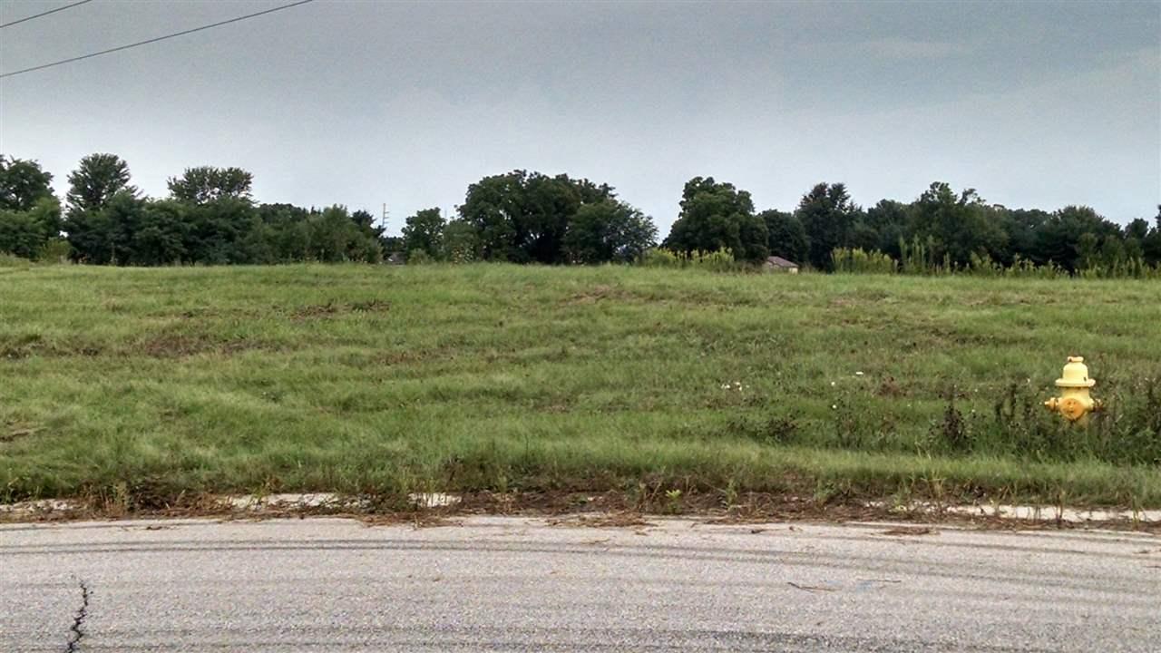 1335 Sturgeon Point - Photo 1