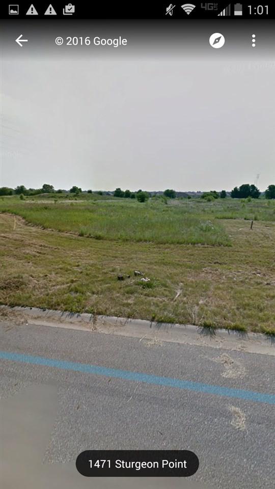 1406 Sturgeon Point - Photo 1