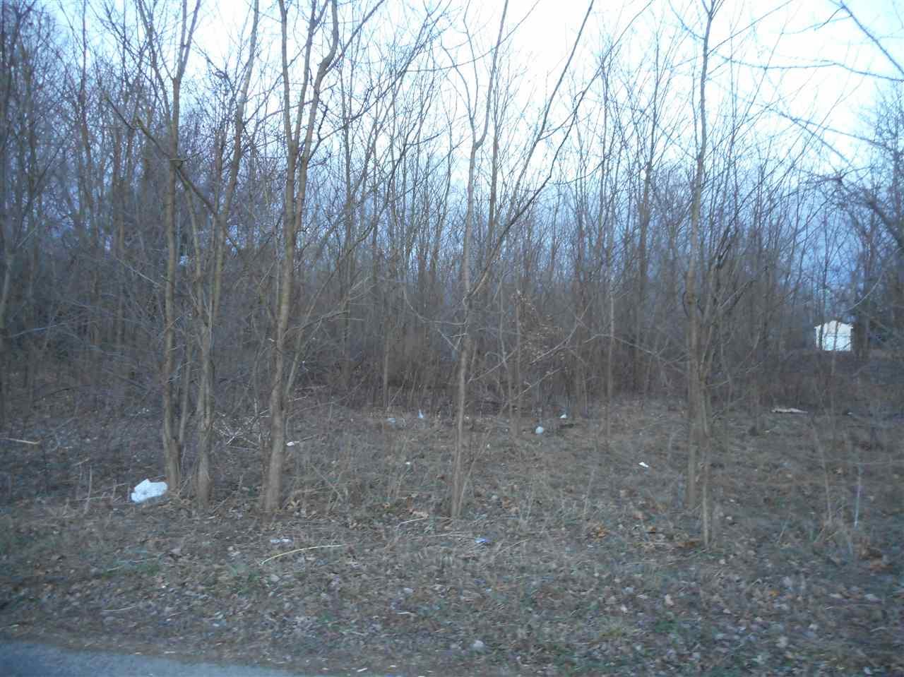 0 Windsor Lot 3 - Photo 1