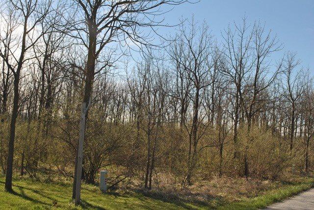 LOT 21 Battle Ground Farms Pt 3 - Photo 1