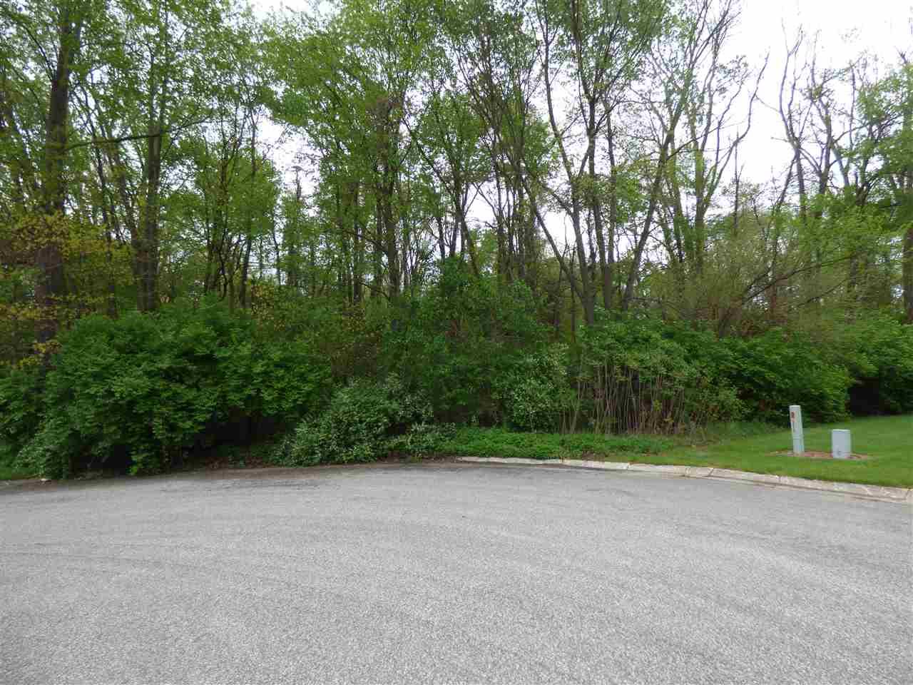 53209 Lily Creek Drive - Photo 1