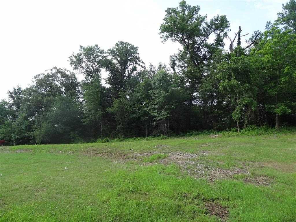 6012 Bishopgate Road - Photo 1
