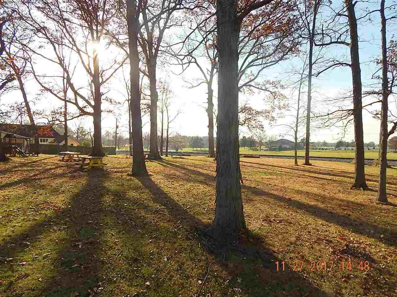 TBD Shady Lane - Photo 1