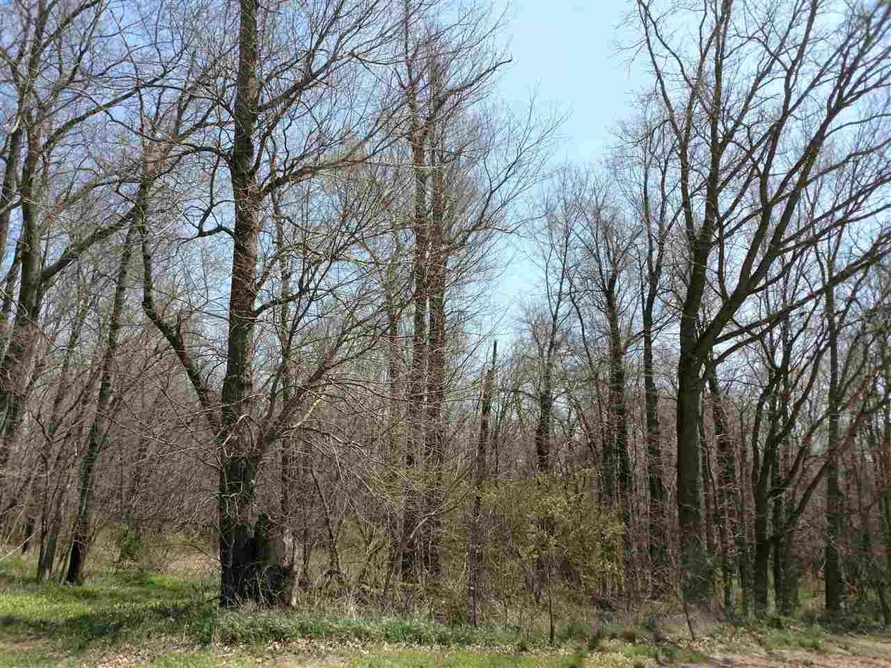 TBD State Rd 19 - Photo 1