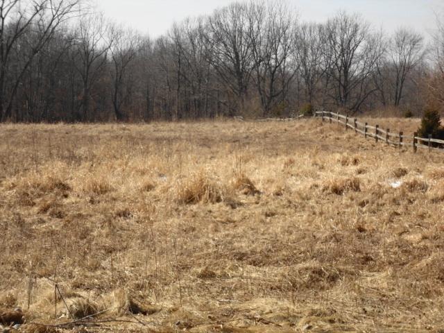 Tract B 425 W - Photo 1