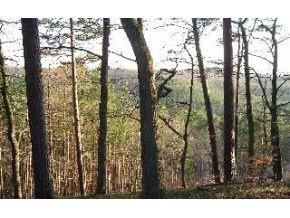 5009 Iron Gate Trail - Photo 1