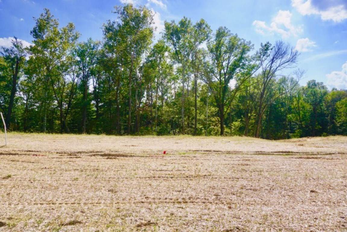 1317 Browning Manor Road - Photo 1