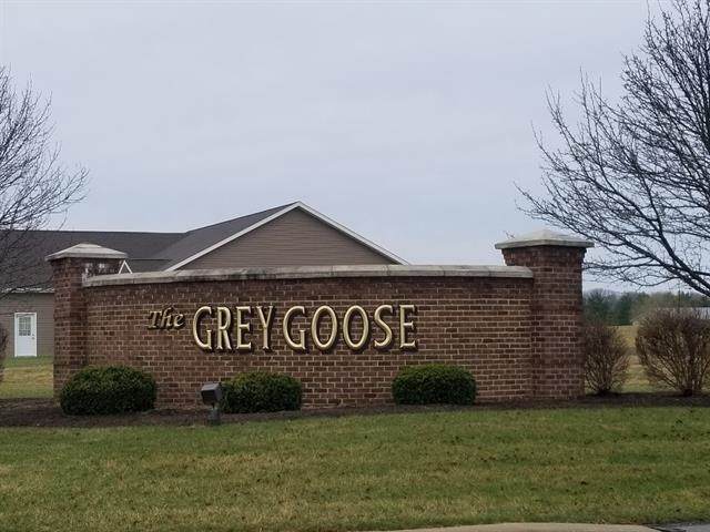 102 Grey Goose Boulevard - Photo 1