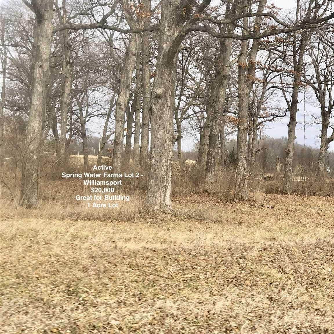 Lot 2 Spring Water Farms Street - Photo 1