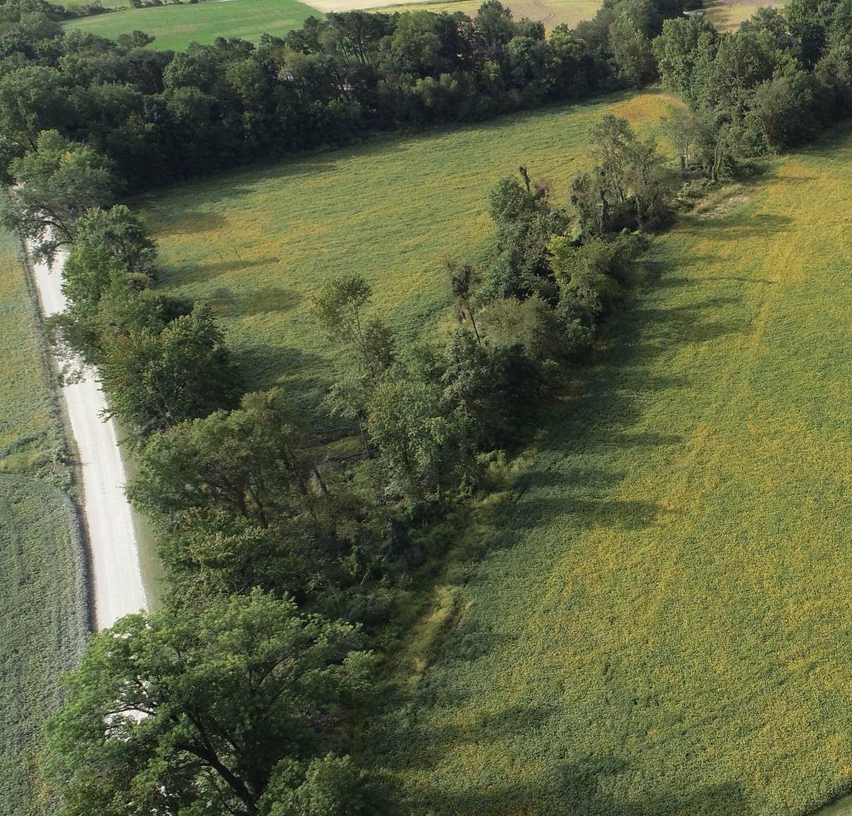 5 Acres 725 E - Photo 1