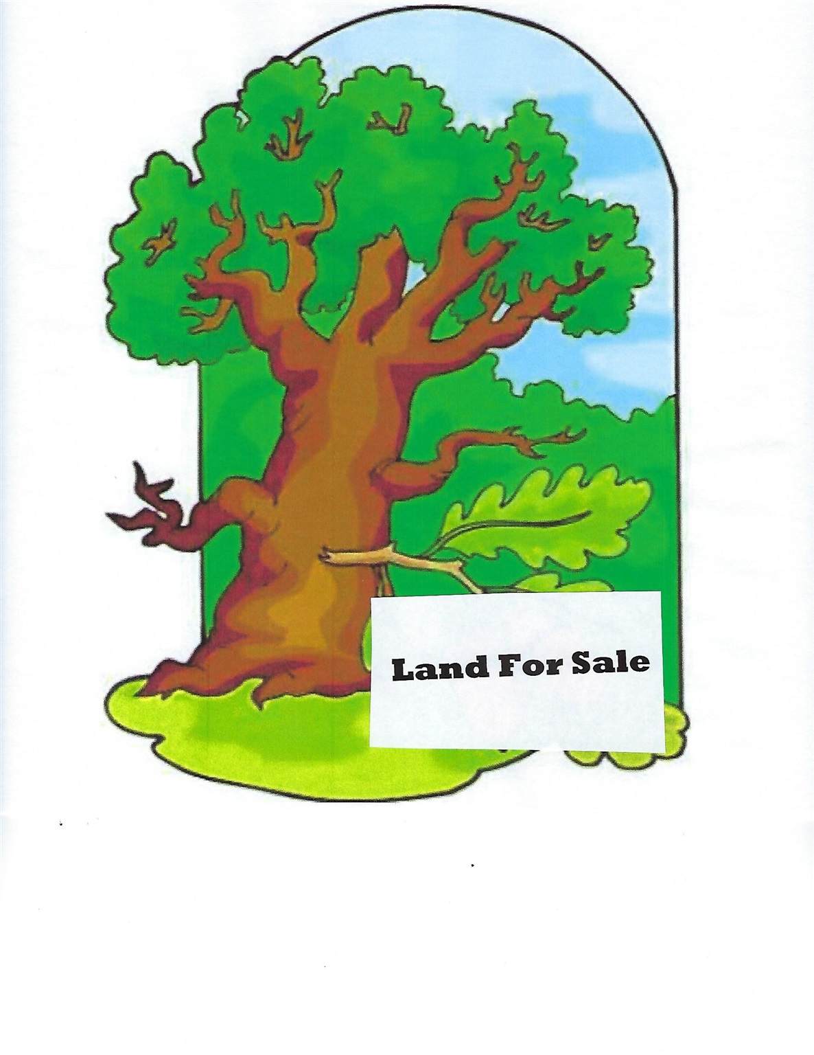 Lots 278 & 279 Lane 275 Crooked Lake - Photo 1