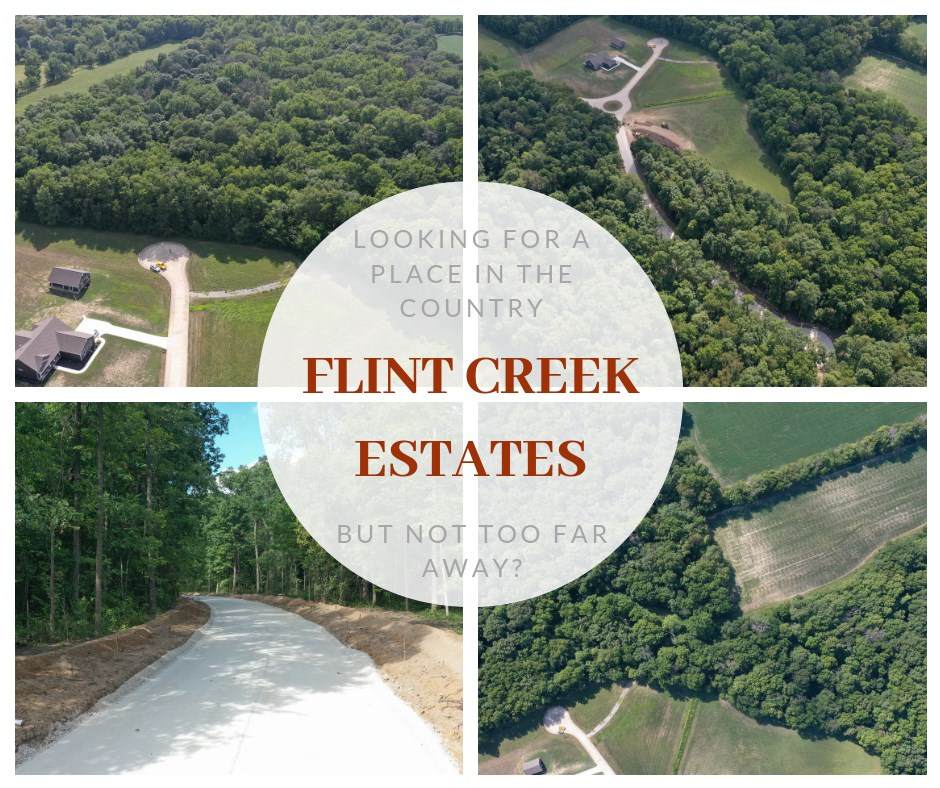 Flint Creek Estates Lot #15 Lane - Photo 1