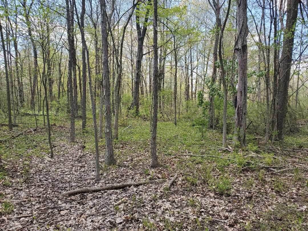Popp Road Road - Photo 1