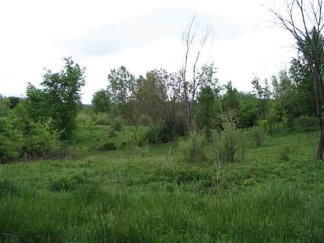 350 South - Photo 1