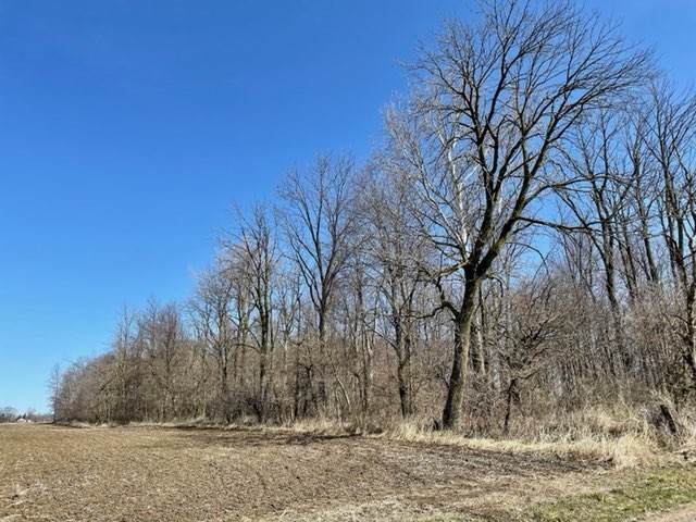 0 County Road 1330 E. Road - Photo 1