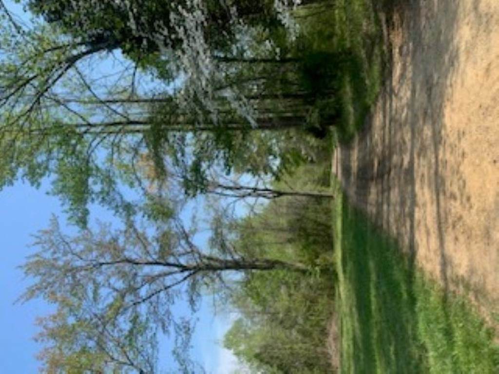 0000 Cr 1500 Road - Photo 1