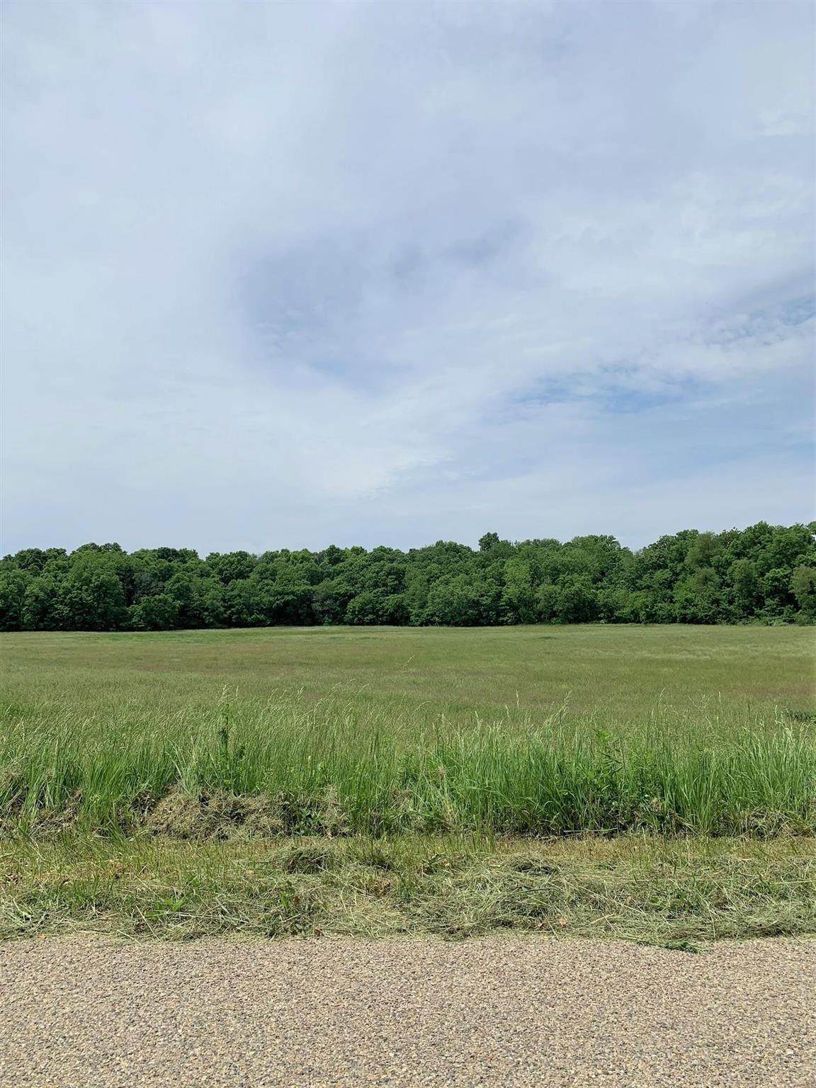 9026 Rainsville Rd - Lot 3 - Photo 1
