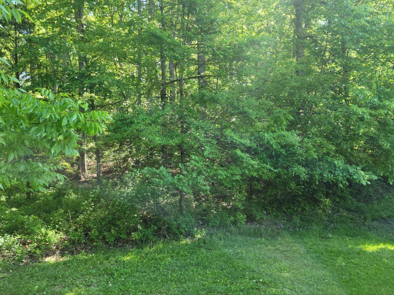 231 January Lot Drive - Photo 1